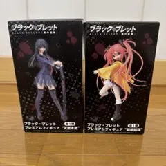 【新品・未使用・未開封】　ブラック・ブレット　フィギュア　天童木更　藍原延珠のサムネイル