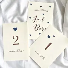 Item thumbnail for item ef7a63dc-fd3d-42dc-b4f4-9a2e1ad6250c