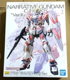 2025年最新】MG 1/100 ナラティブガンダム C装備 Ver.Kaの人気