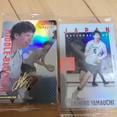 日本代表バレーウエハース 山内晃裕