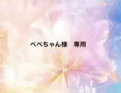 ぺぺちゃん様　専用