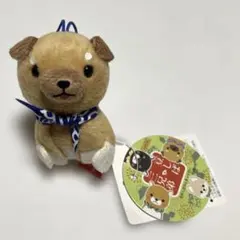 豆しば三兄弟　豆三郎　ストラップ付きミニマスコット　豆柴　柴犬　非売品