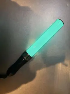 Item thumbnail for item 49bdb03e-1c2d-419e-9436-6a23f79edf31