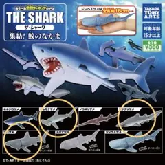 THE SHARK ザ・シャーク　3種セット