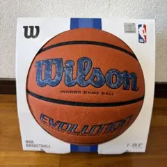 WilsonEVOLUTIONウィルソンエヴォリューションNBAジョーダン 7号のサムネイル