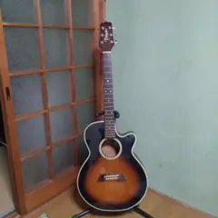 Panther様】Takamine PTU741 TBS アコースティックギター - メルカリ
