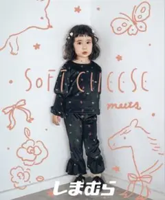 soft cheeses セットアップ