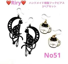 No51❤️ハンドメイド樹脂フックピアス2ペアセット ❤️黒猫セット