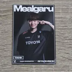 ZETA OW部門 トレカ Mealgaru ノーマル