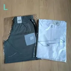 Item thumbnail for item 1458fc85-5373-4648-ae9f-86d439b4fdbd