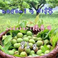 NAGOMIの小梅『yadokari様専用』8kgのサムネイル