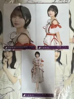 乃木坂46 中西アルノ ビリヤニ 封入生写真 セミコン