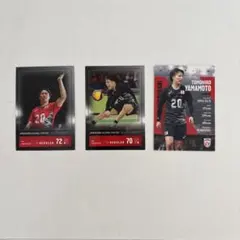 山本智大 バレーボール日本代表 トレーディングカード 3枚セット