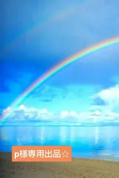 【p様専用出品☆】チャット鑑定30分占い放題☆