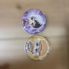 Dr.stone 缶バッジセット