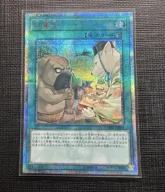 遊戯王　犬賞金　20th 日焼け
