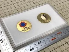 アクアワールド 大洗水族館 記念メダル コイン 茶平工業 オーク