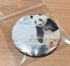 Item thumbnail for item 031aa9b5-6dee-487e-85ca-9f8d9956f059