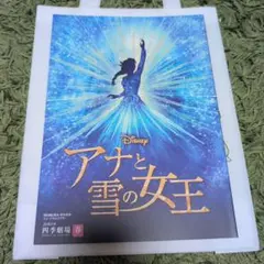 アナと雪の女王 パンフレットとバッグセット