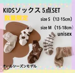 ⭐︎KIDS ソックス 5点セット ⭐︎ クマ ユニセックス S/Mサイズ