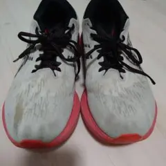 ASICS ノヴァブラスト3 ホワイト/レッド ランニングシューズ 27.5cm