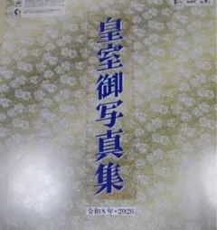 Item thumbnail for item ae7cc54b-8f9e-4bad-865d-8431904df529