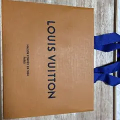 LOUIS VUITTON ショップ袋 中型 オレンジ