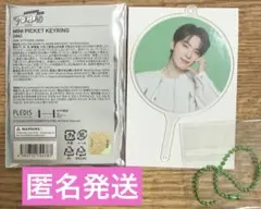 SEVENTEEN FOLLOW AGAIN ミニピケット ディノ