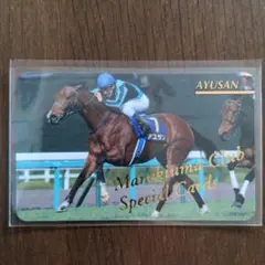 まねき馬倶楽部 今村聖奈 スペシャルとノーマルカードセット まねき馬倶楽部 今村聖奈 スペシャルとノーマルカードセット