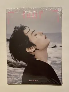 Stray Kids DO IT 開封済 アコーディオン リノ