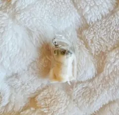 【コロンとべびわんこ2】めじるしチャーム パグ