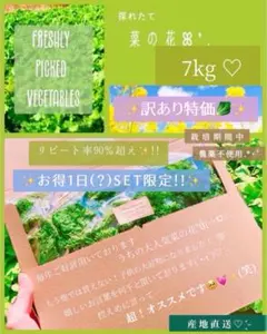 ❤️7kg!3999円✨【訳あり】菜の花箱パンパン!!栽培期間農薬不使用❤️