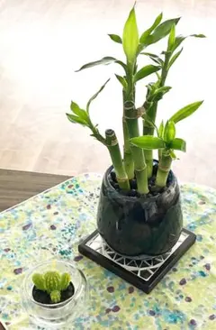 Item thumbnail for item 131f5d16-93f8-48fd-97b6-56bb455bc51a