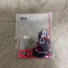 NTE TGS2025 レクイエム アクスタ 缶バッジ クリアファイル - メルカリ