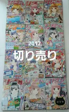 【切り売り】少女漫画　りぼん　2017年　1月号～12月号