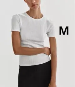 ZARA ザラ　メタリックリブニットトップス　新品、未使用