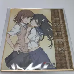【未使用】とある魔術の禁書目録 御坂美琴、佐天涙子 色紙 電撃文庫
