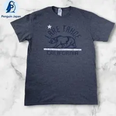 DELTA レイクタホ 熊プリントTシャツ M グレー アメカジ 古着