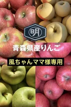 青森県産りんご【ミックス】107コンポート用10kg 風ちゃんママ様専用
