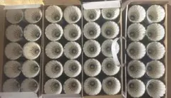 Item thumbnail for item 998f01e0-25a3-4e2b-a416-55122a5ad5d7