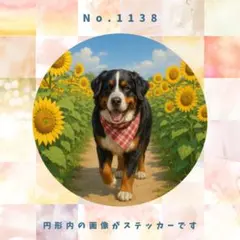 あや様 リクエスト 4点 まとめ商品