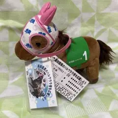 2025年最新】高知競馬ハルウララ号の人気アイテム - メルカリ