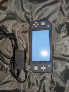 Nintendo Switch Lite グレー アダプター付き