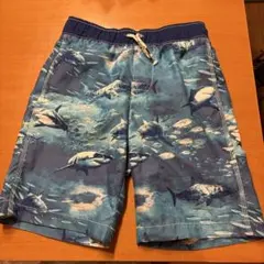 Item thumbnail for item 893f0b7c-bd30-49b4-adbd-8352309e98ee