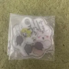 ちいかわ シャカシャカチャーム あのこ