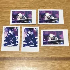 いれいす 初兎 実写チェキ2024