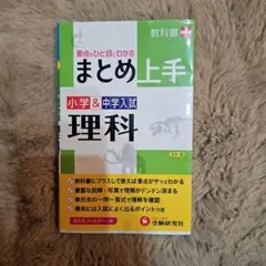 Item thumbnail for item 82336778-247a-4a7f-a499-5b4c7e5434ff