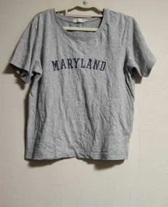 SEVENDAYS=SUNDAY　 半袖Tシャツ グレー　 L　綿100%のサムネイル