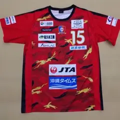新品タグ付 hummel INAC神戸レオネッサ No.8 澤選手 ユニフォーム 新品タグ付 hummel INAC神戸レオネッサ No.8 澤選手 ユニフォーム