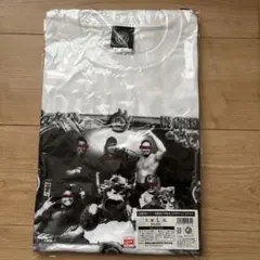 中日ドラゴンズ高島屋限定BIGカプセル プレイヤーズTシャツ 田中幹也 